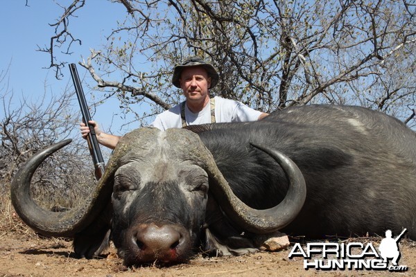 Greater Kruger Buffalo