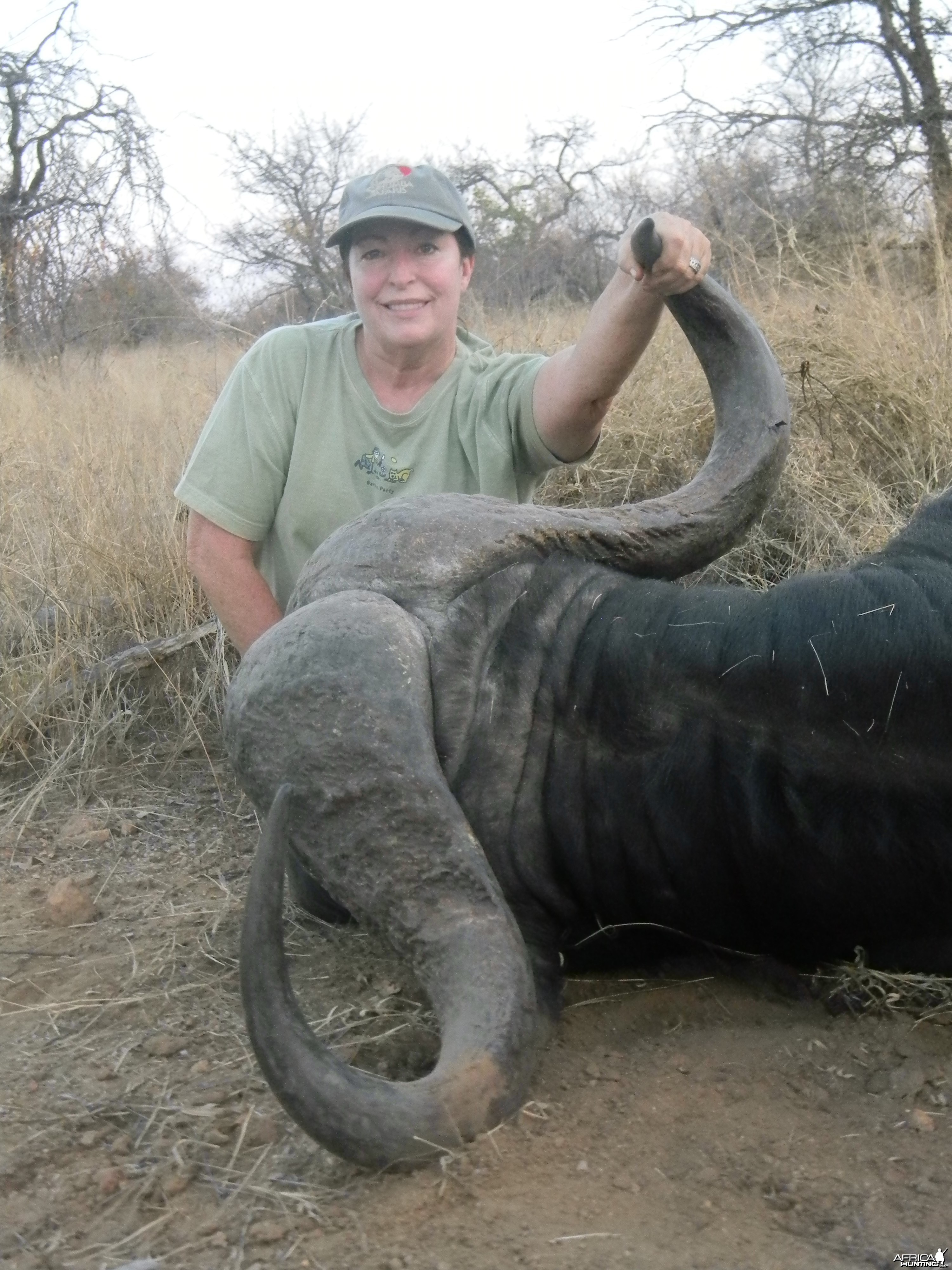 Greater Kruger Buffalo