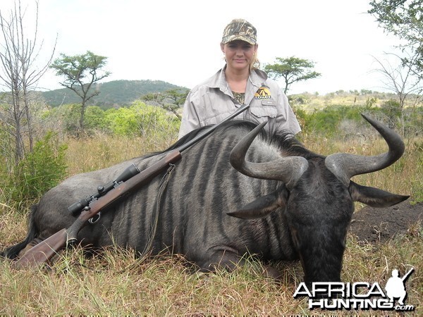 Blue Wildebeest