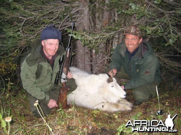 Hunting Mountain Goat Canada