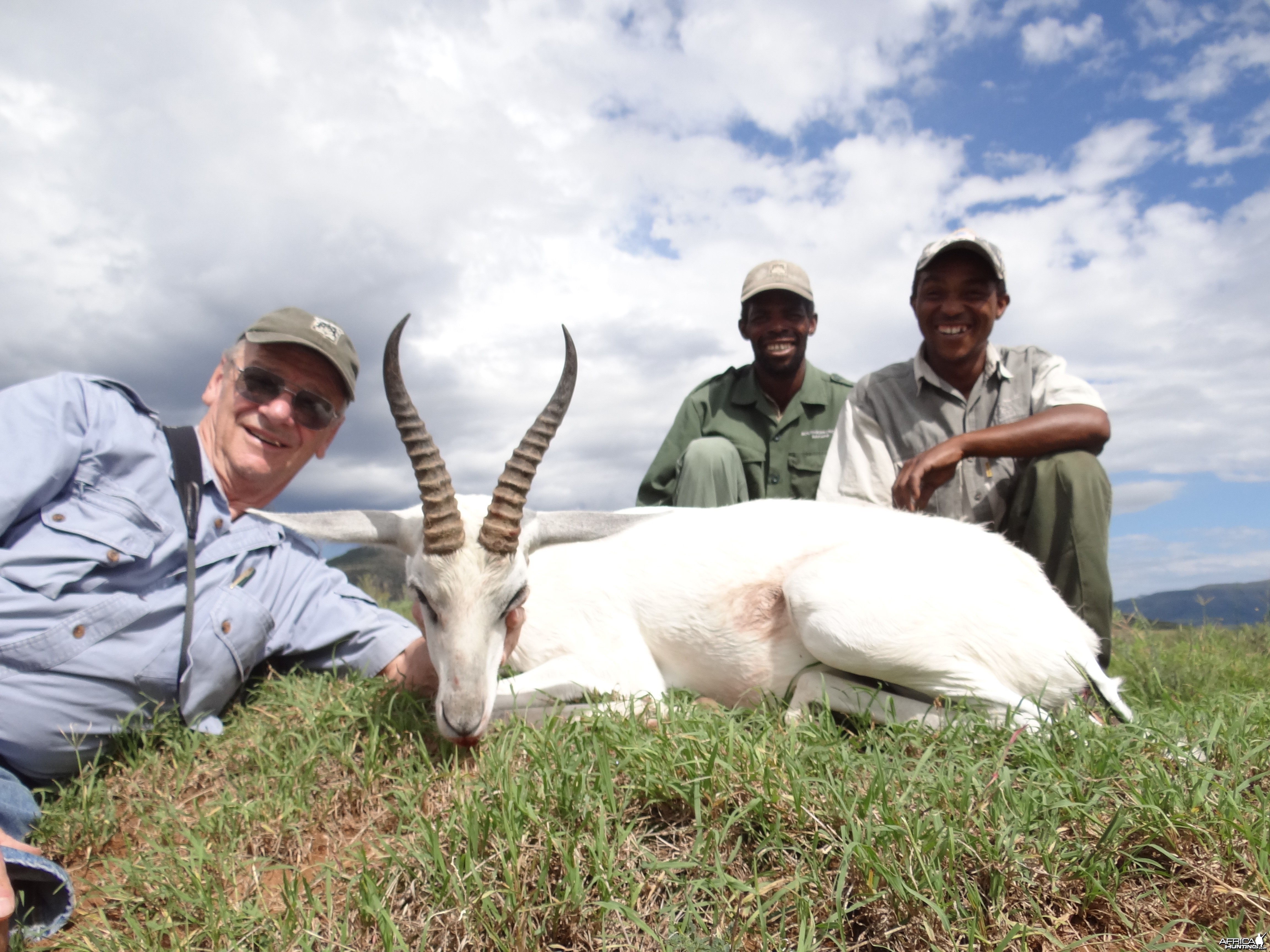 White Springbuck ~ East Cape, South Africa