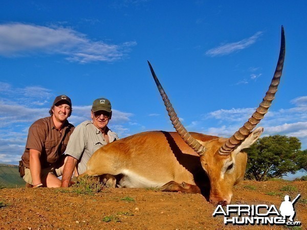 Red Lechwe ~ East Cape