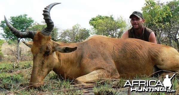 Lelwel hartebeest - Central Africa