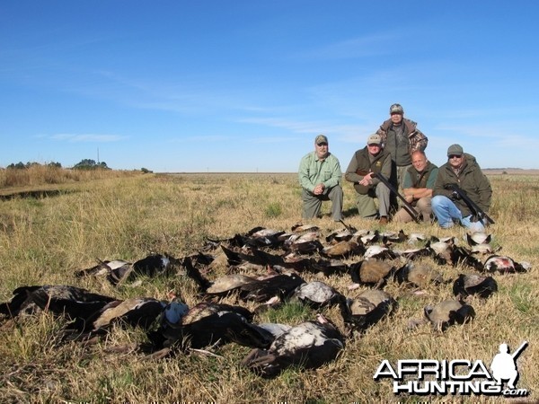 Umdende Hunting Safaris Bird Hunting