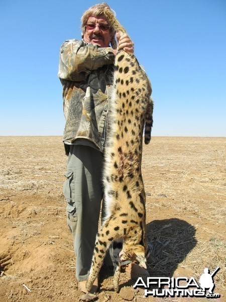 Umdende Hunting Safaris Serval