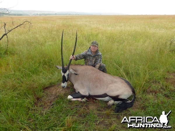 Gemsbok