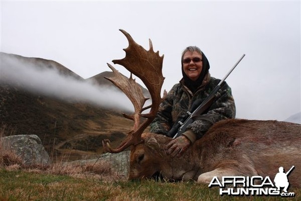 New Zealand Fallow Deer