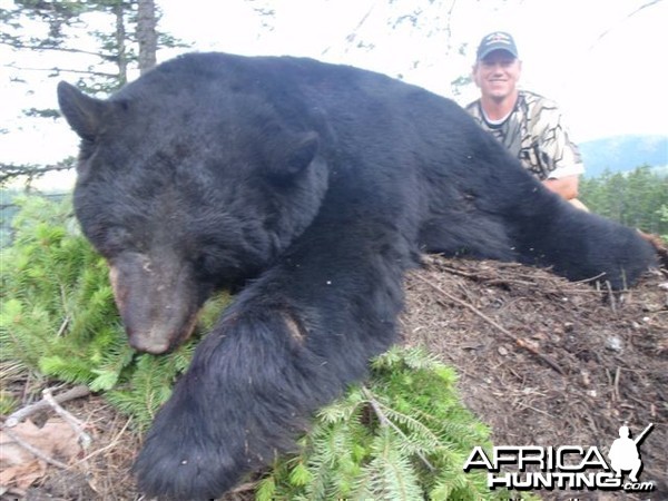 Black Bear Hunt in Canada