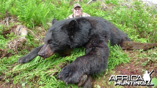 Black Bear Hunt in Canada