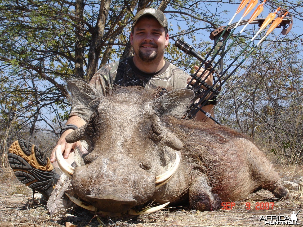 Warthog