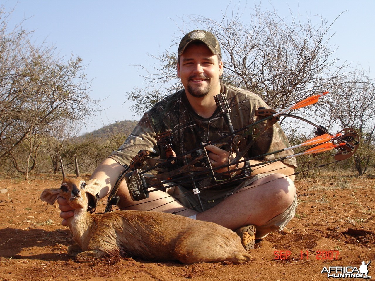 Steenbok