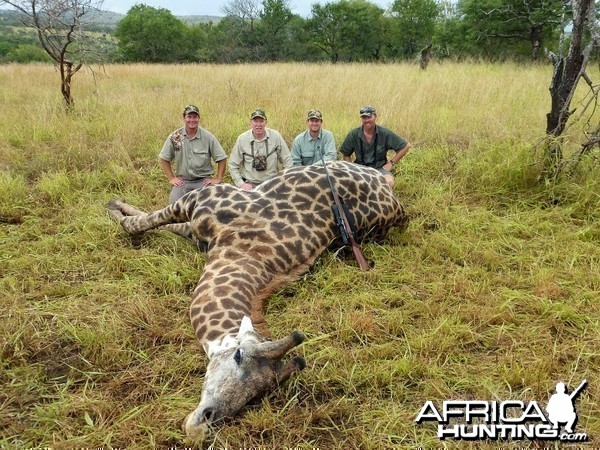 Giraffe with Kido Safaris