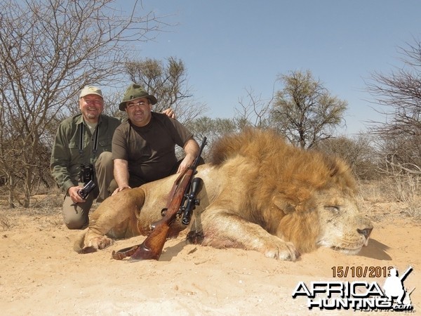 Lion with Savanna Hunting Safari's