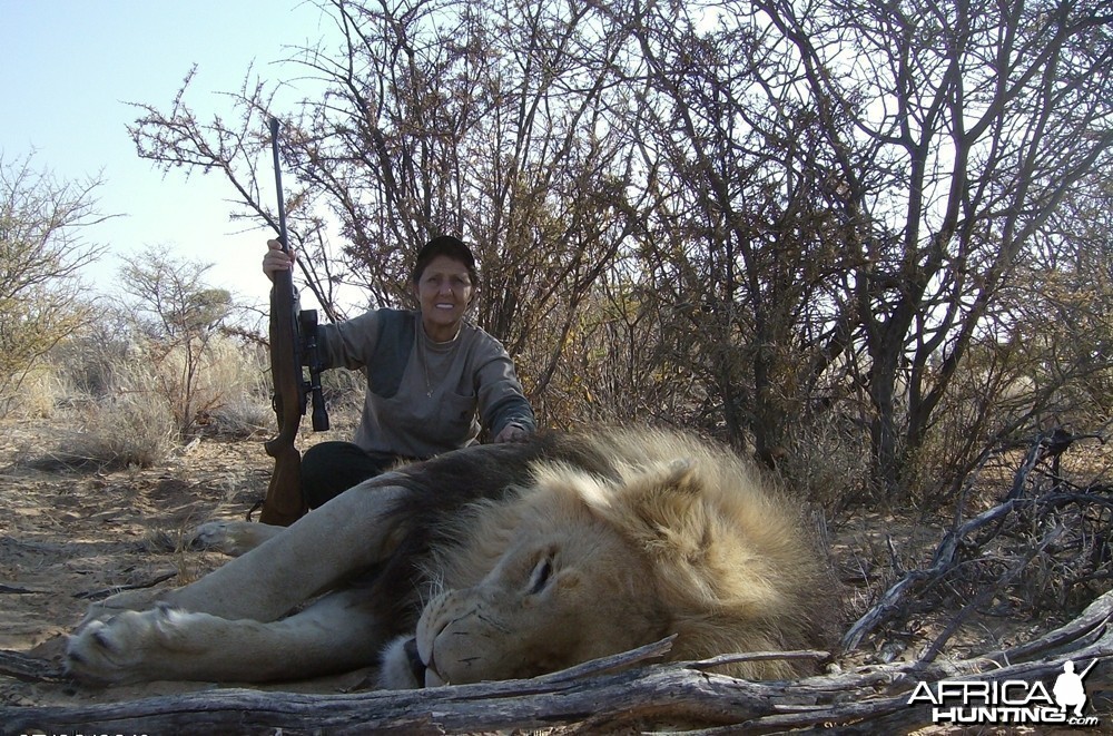 Lion with Savanna Hunting Safari's