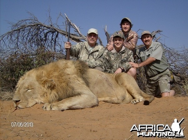 Lion with Savanna Hunting Safari's