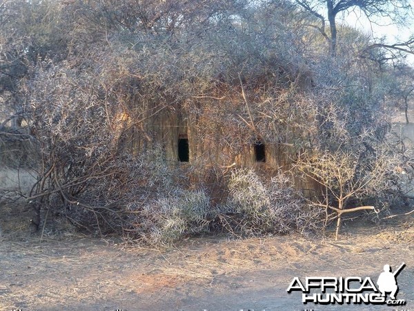 Life on Safari with Spiral Horn Safaris