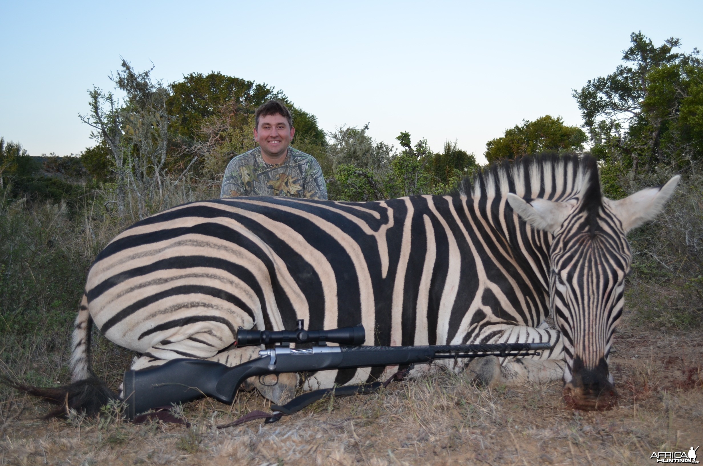 Zebra KMG Hunting Safaris