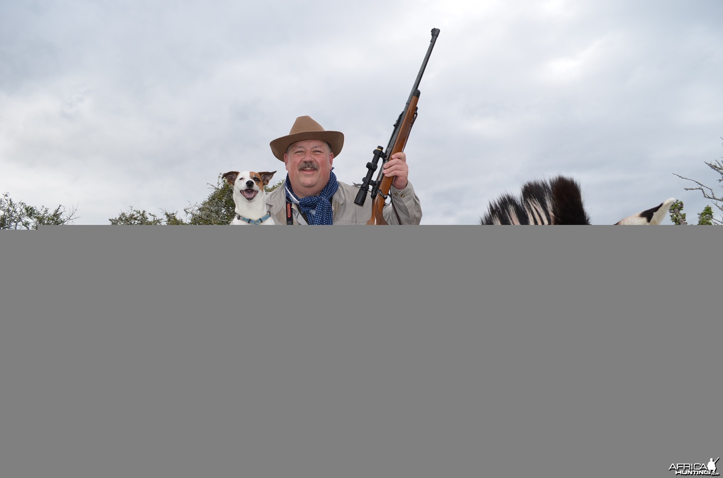 Zebra KMG Hunting Safaris