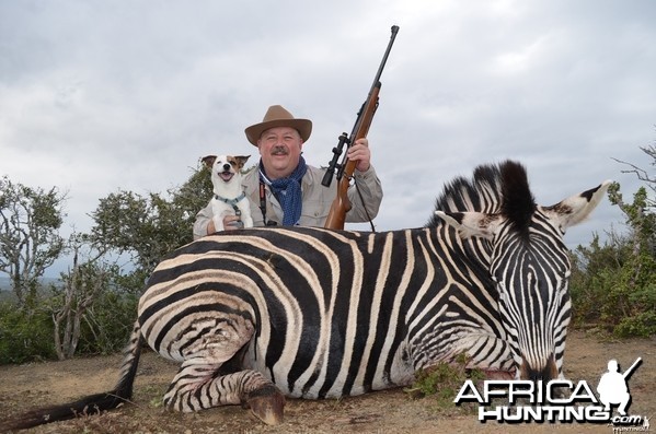 Zebra KMG Hunting Safaris