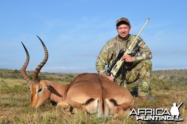 Impala KMG Hunting Safaris