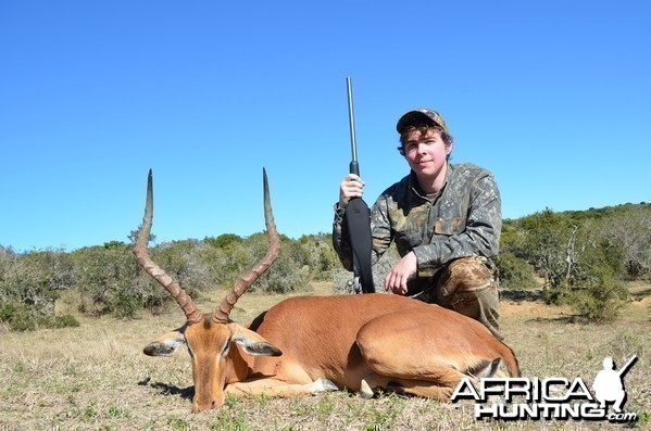 Impala KMG Hunting Safaris