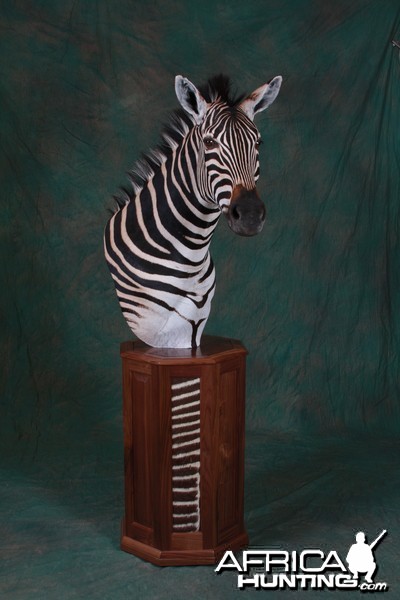 Zebra Pedestal Mount