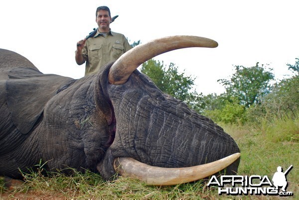 Elephant ~ Limpopo, South Africa 2014