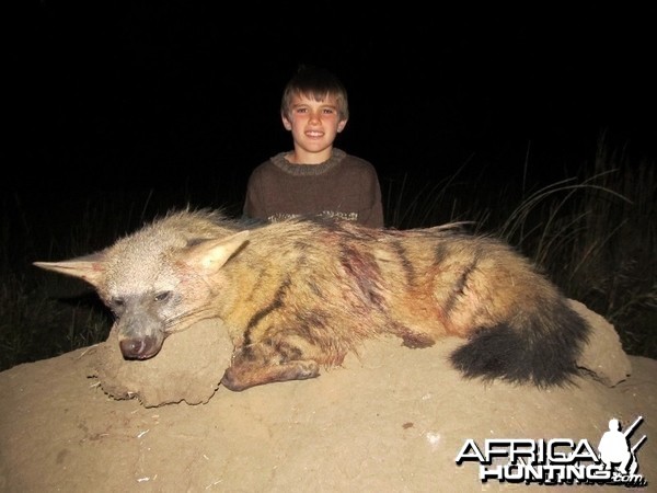 Umdende Hunting Safaris Aardwolf