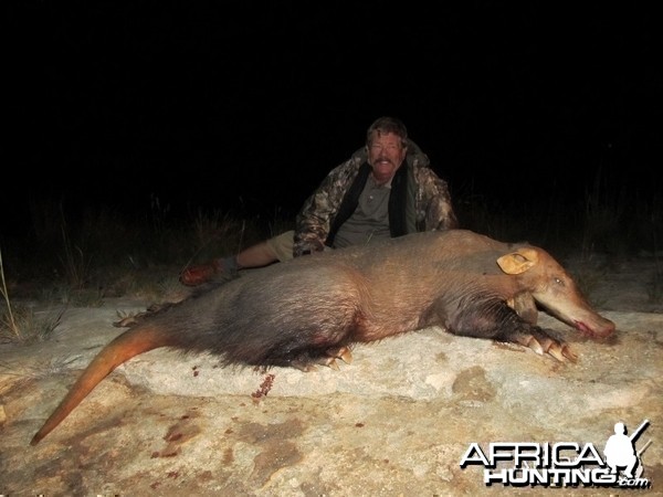 Umdende Hunting Safaris Aardvark