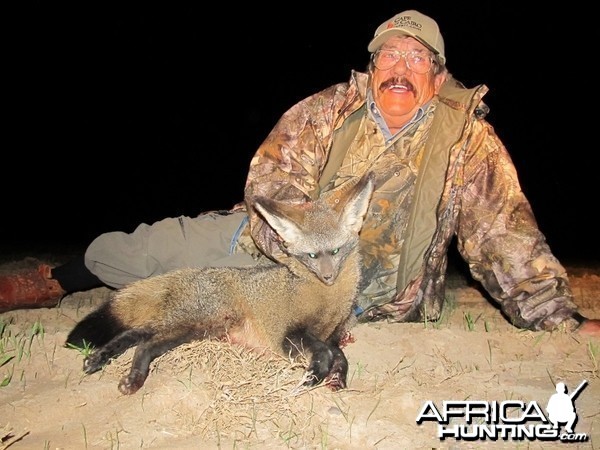 Umdende Hunting Safaris Bat-eared Fox