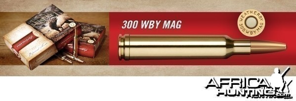 The .300 Weatherby Magnum