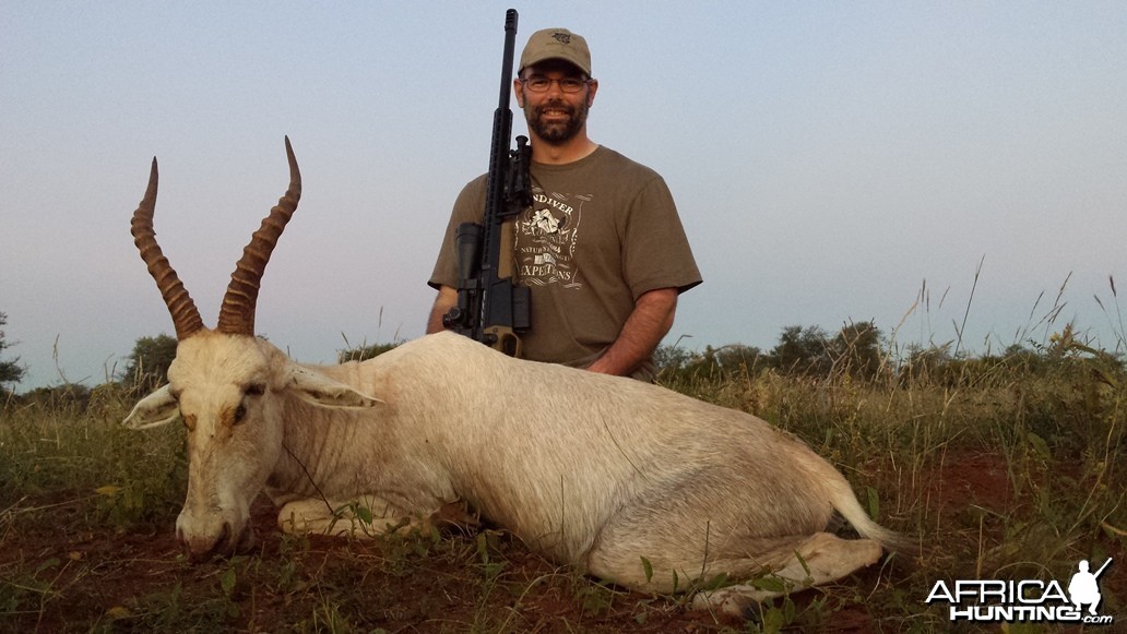 White Blesbok RSA Limpopo 2014