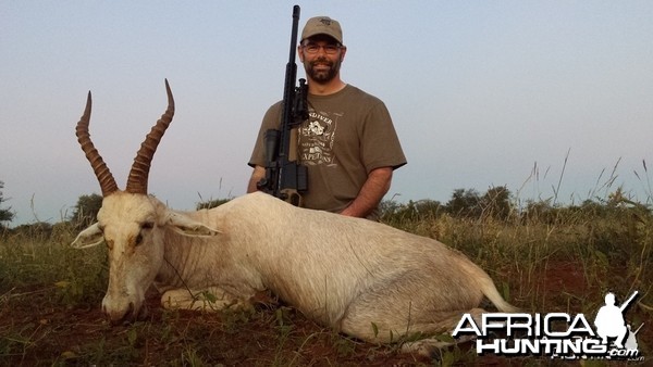 White Blesbok RSA Limpopo 2014