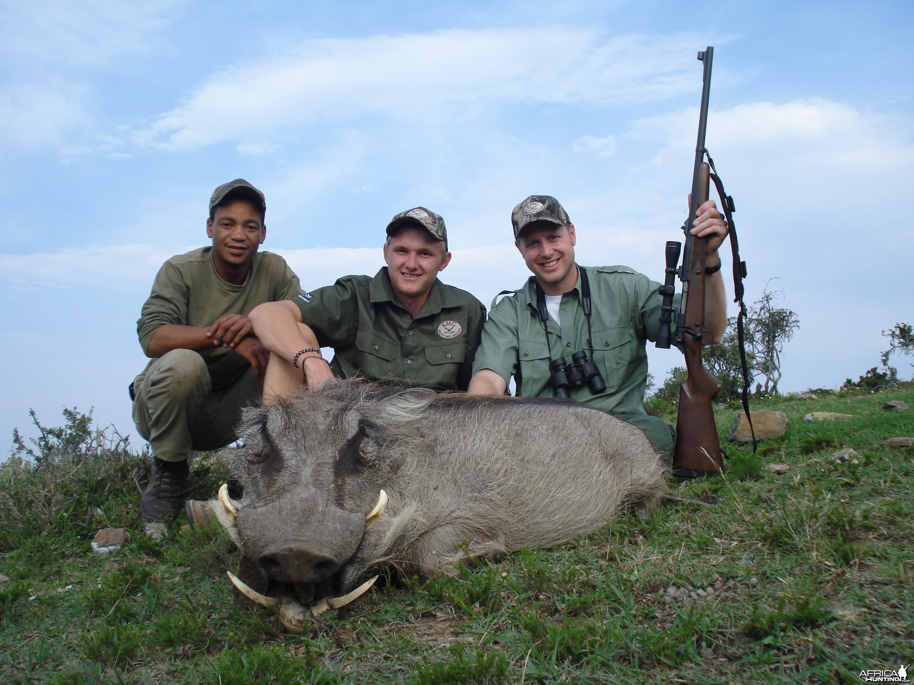 Warthog