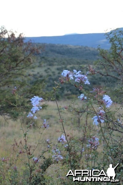 Bedford, Eastern Cape, South Africa