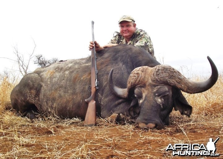 Buffalo