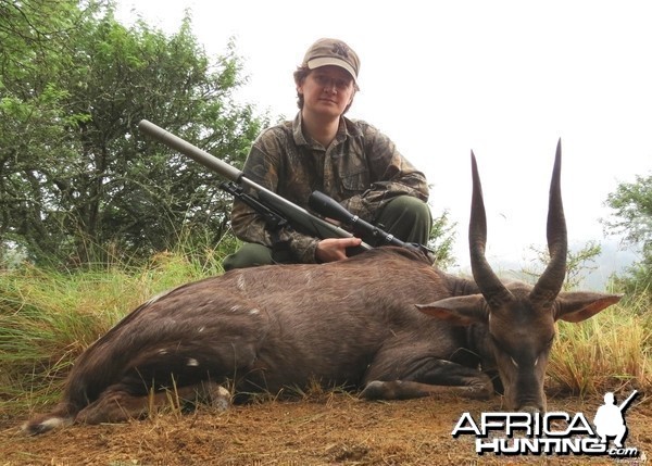 Very old Natal Bushbuck