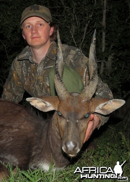 Eastern Cape (Cowie) Bushbuck