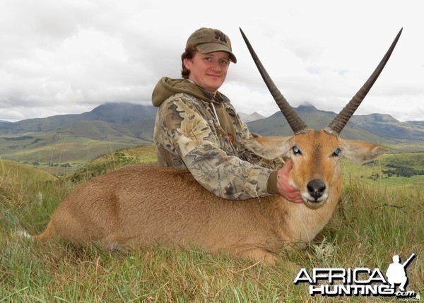 Griqualand East Common Reedbuck