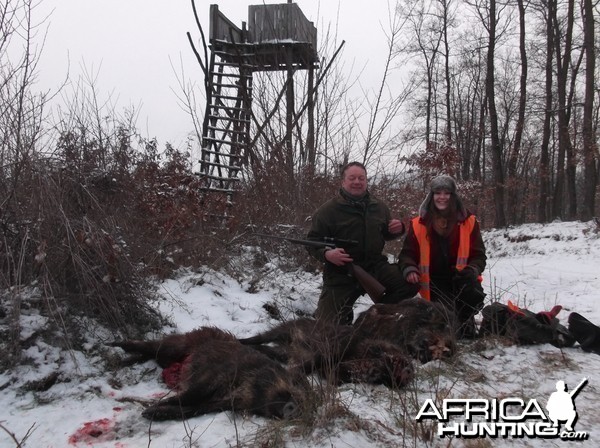 Hunting Boar in Hungary