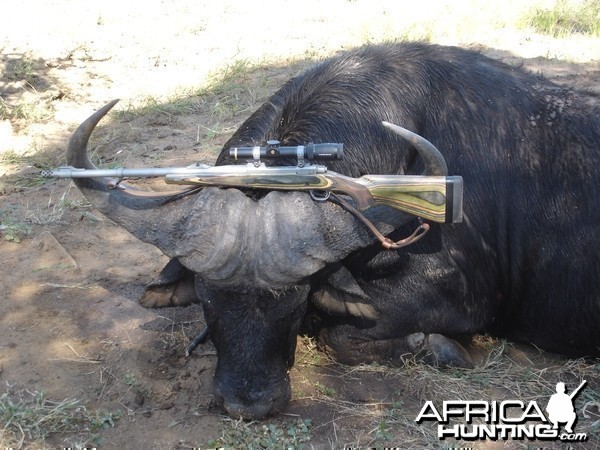 Ruger 416 Guide Gun with Cape Buffalo