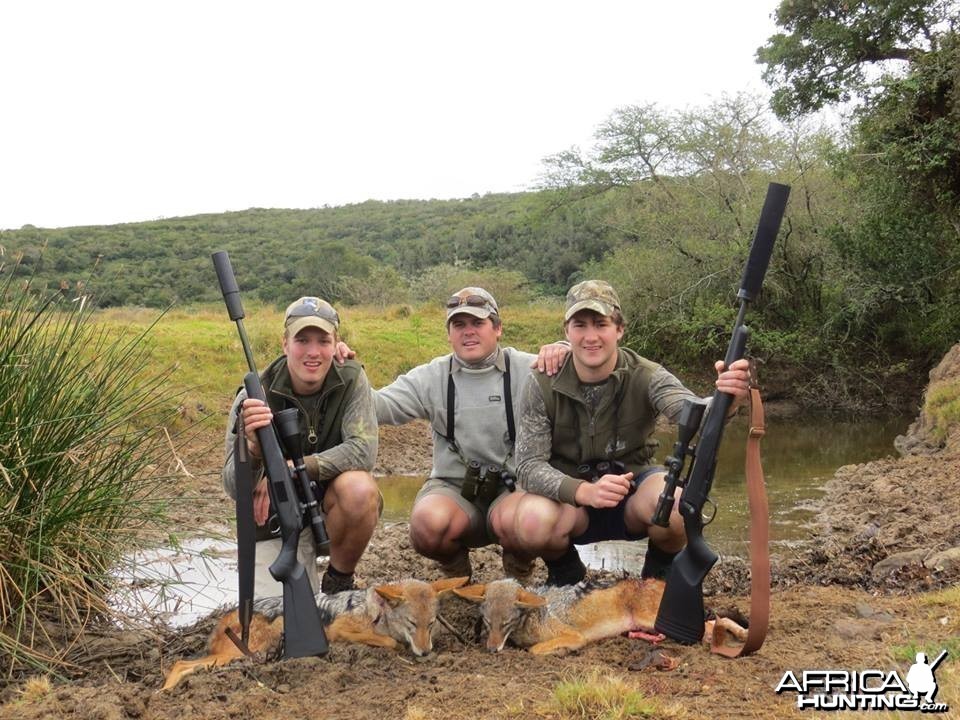 Jackal 1st South African safari