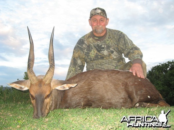 Bushbuck