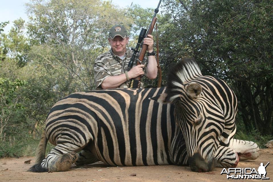 Zebra