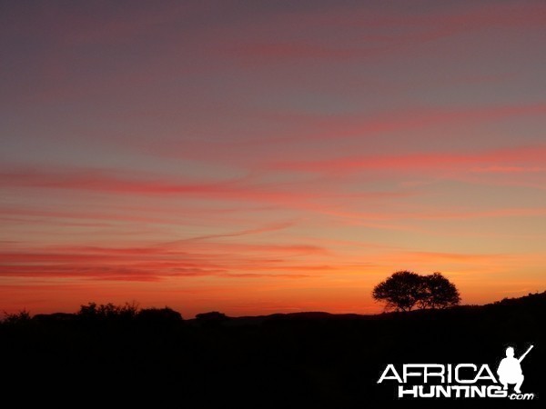 African Sunset