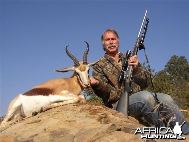 Common Springbok