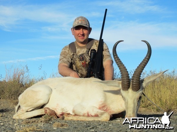 White springbok