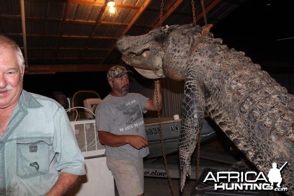 Big twelve foot bull gator from last season