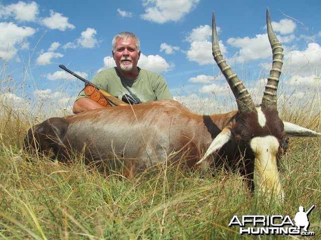 Blesbok