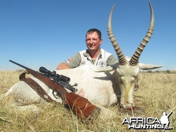 Blesbok